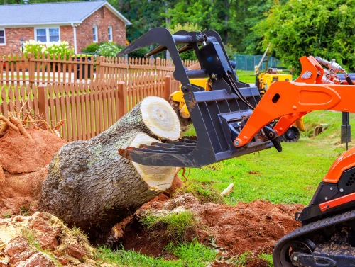 Tree Stump Removal